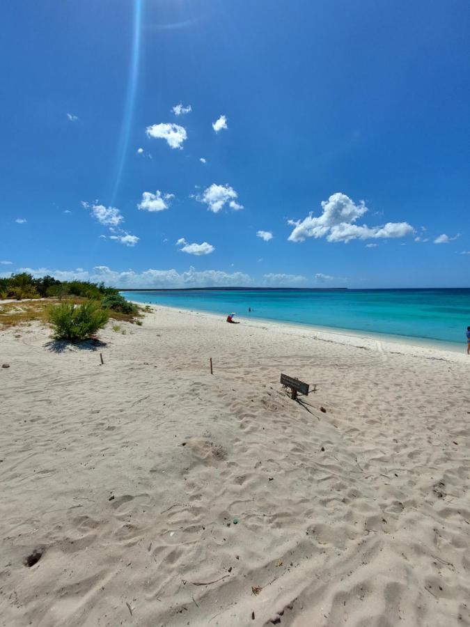 El Aplatanao Hotel ペデルナレス エクステリア 写真