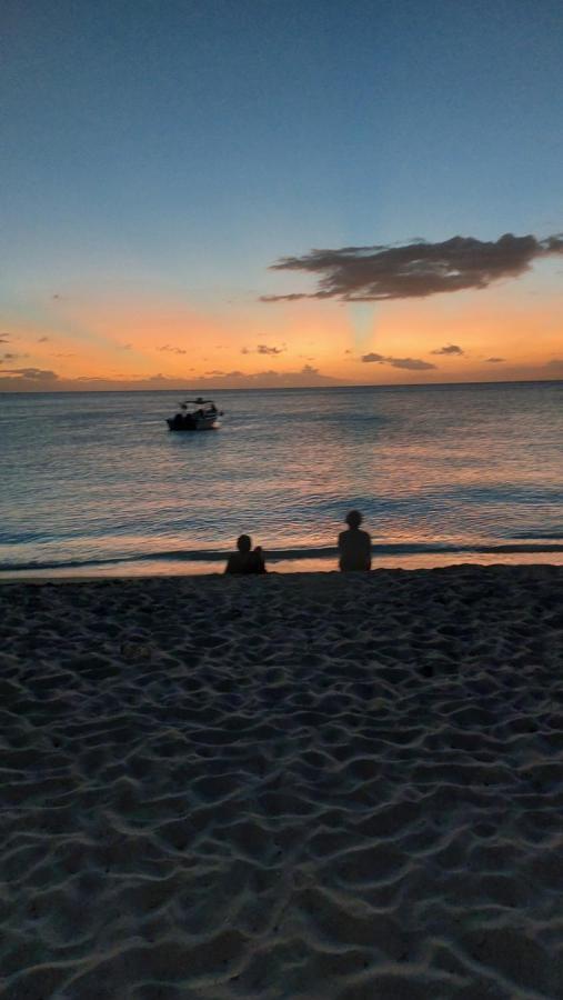 El Aplatanao Hotel ペデルナレス エクステリア 写真